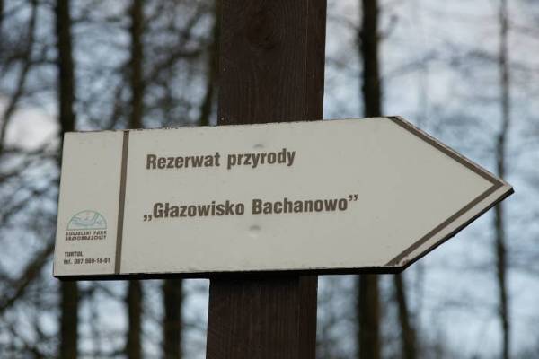 W rezerwacie Bachanowo chroni się głazy narzutowe, które są nieodłącznym elementem krajobrazu polodowcowego