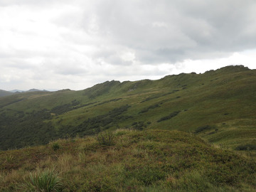 Bukowe Berdo, Bieszczady