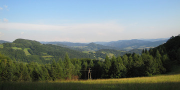 Beskid Sądecki. Kretówki.