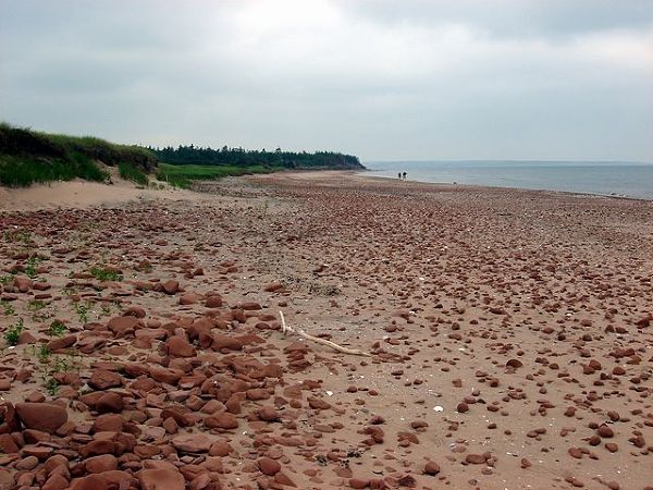 Czerwony piasek w Parku Narodowym Wyspy Księcia Edwarda