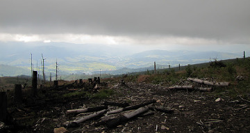 Beskid Śląski. Barania Góra.